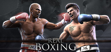 Real Boxing Game